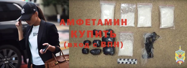 крисы Ельня