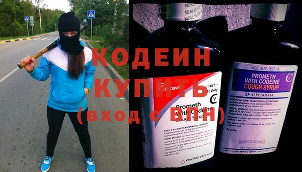 крисы Ельня