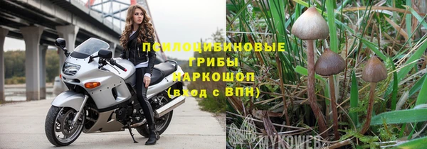 молекула духа Елабуга