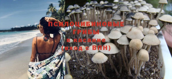 МДМА Елизово