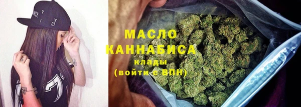 крисы Ельня
