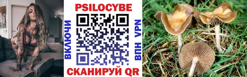 как найти   Чернушка  Галлюциногенные грибы мухоморы 